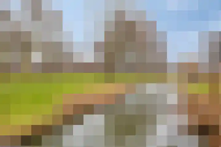 Wipmolen 94 Papendrecht thumbnail 44