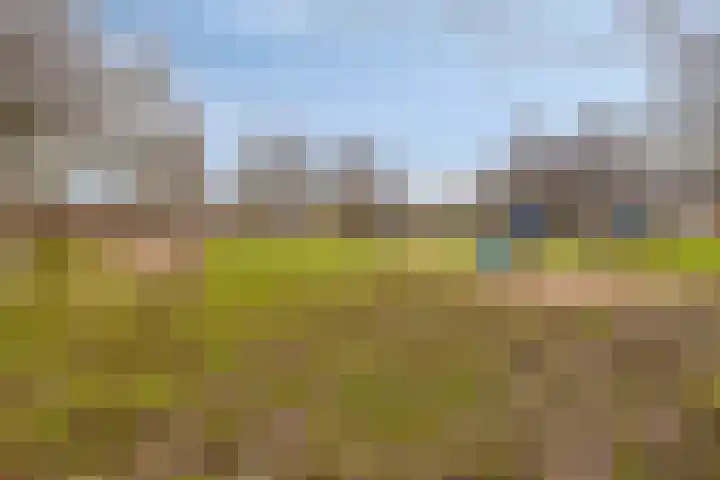 Wipmolen 94 Papendrecht thumbnail 45