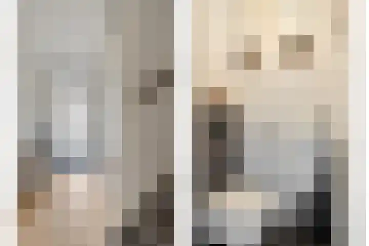 Wipmolen 94 Papendrecht thumbnail 8