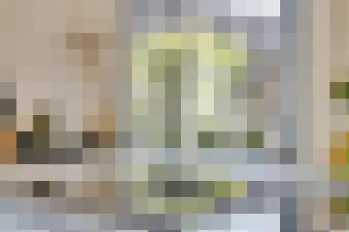 Wipmolenstraat 1 Abbekerk thumbnail 11