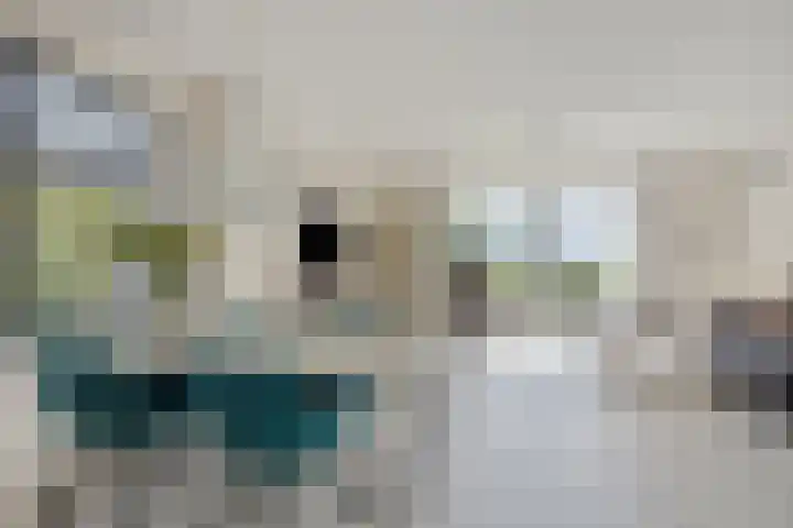 Wipmolenstraat 1 Abbekerk thumbnail 12
