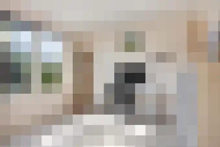 Wipmolenstraat 1 Abbekerk thumbnail 13