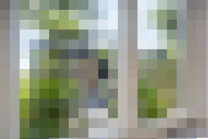 Wipmolenstraat 1 Abbekerk thumbnail 14
