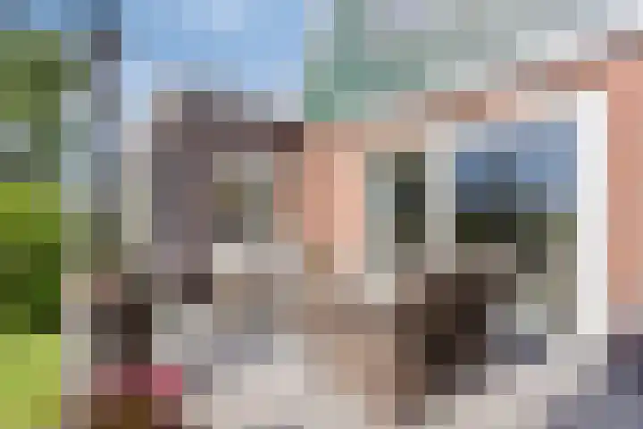 Wipmolenstraat 1 Abbekerk thumbnail 23