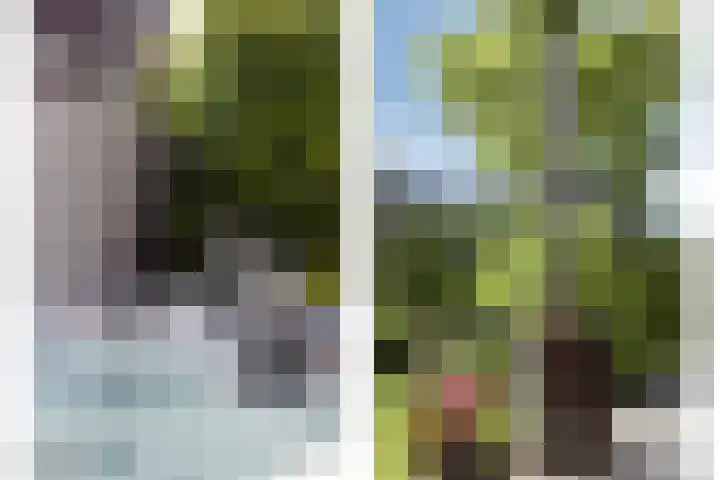 Wipmolenstraat 1 Abbekerk thumbnail 24