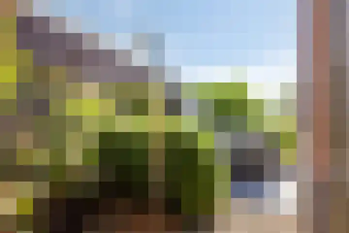 Wipmolenstraat 1 Abbekerk thumbnail 26