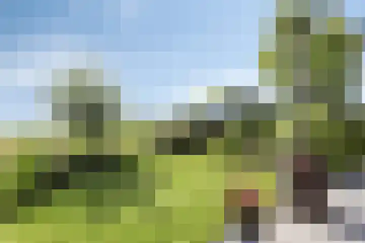 Wipmolenstraat 1 Abbekerk thumbnail 27