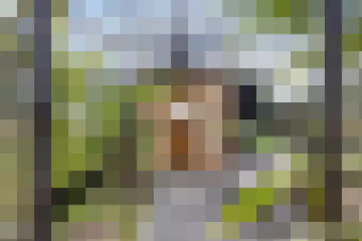 Wipmolenstraat 1 Abbekerk thumbnail 29