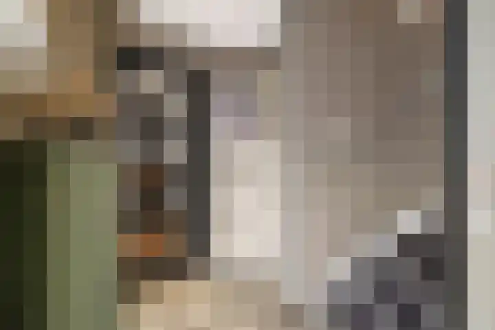 Wipmolenstraat 2 Kootwijkerbroek thumbnail 13