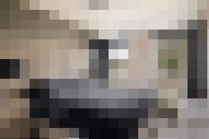 Wipmolenstraat 2 Kootwijkerbroek thumbnail 14