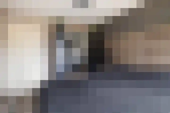 Wipmolenstraat 2 Kootwijkerbroek thumbnail 15