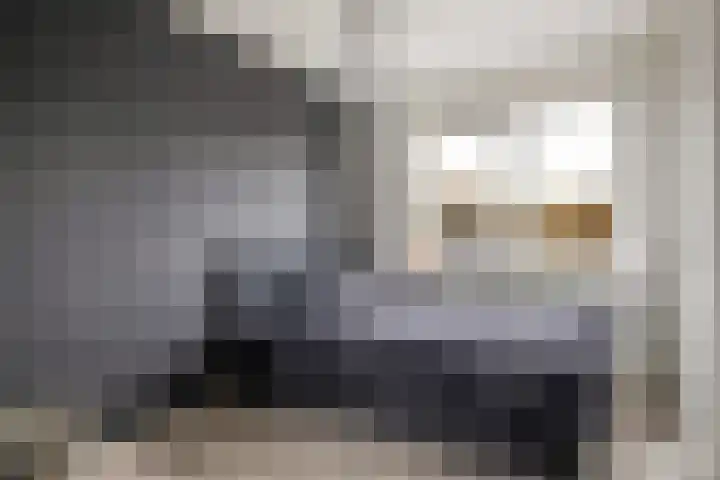 Wipmolenstraat 2 Kootwijkerbroek thumbnail 19