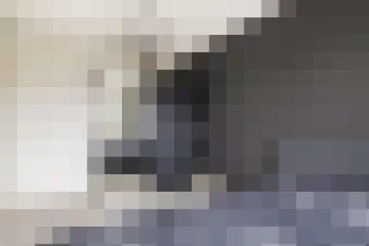 Wipmolenstraat 2 Kootwijkerbroek thumbnail 20