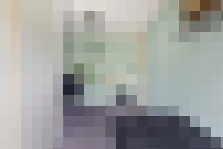 Wipmolenstraat 2 Kootwijkerbroek thumbnail 22