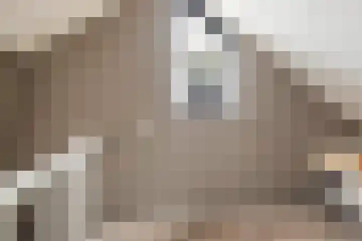 Wipmolenstraat 2 Kootwijkerbroek thumbnail 23