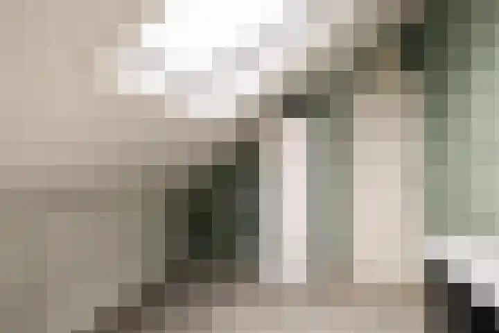 Wipmolenstraat 2 Kootwijkerbroek thumbnail 25