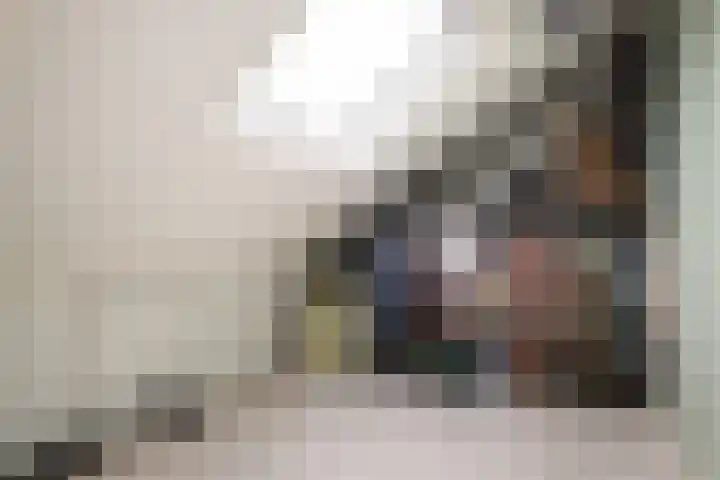 Wipmolenstraat 2 Kootwijkerbroek thumbnail 26
