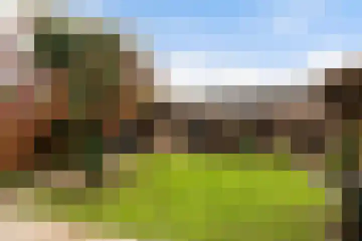 Wipmolenstraat 2 Kootwijkerbroek thumbnail 28
