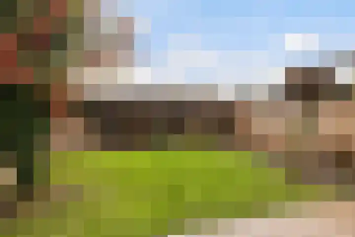 Wipmolenstraat 2 Kootwijkerbroek thumbnail 29