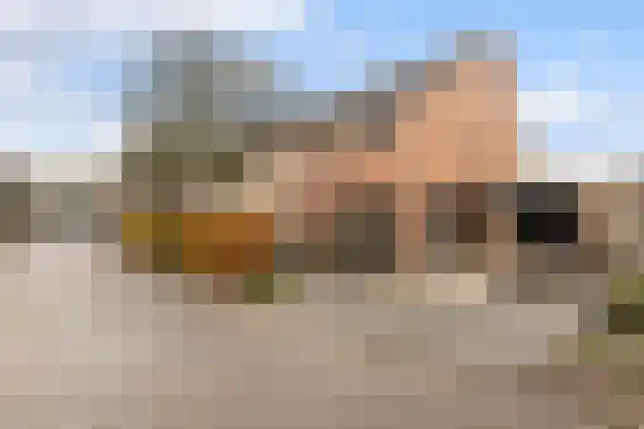 Wipmolenstraat 2 Kootwijkerbroek thumbnail 31
