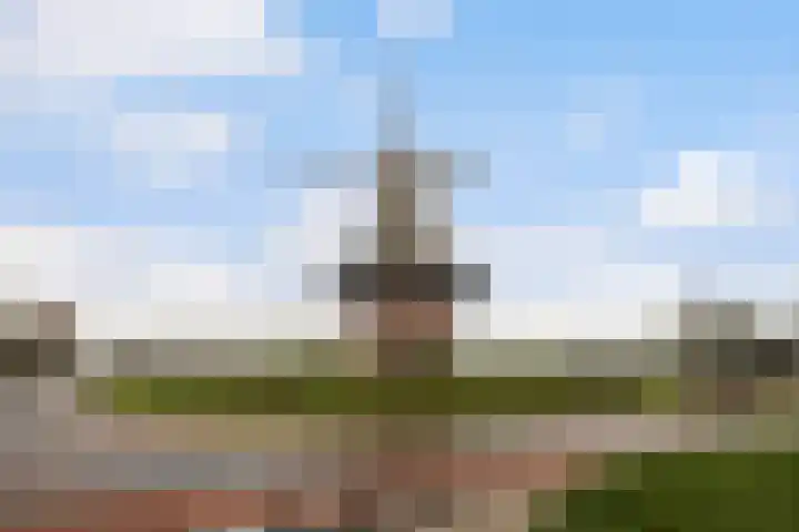 Wipmolenstraat 2 Kootwijkerbroek thumbnail 33