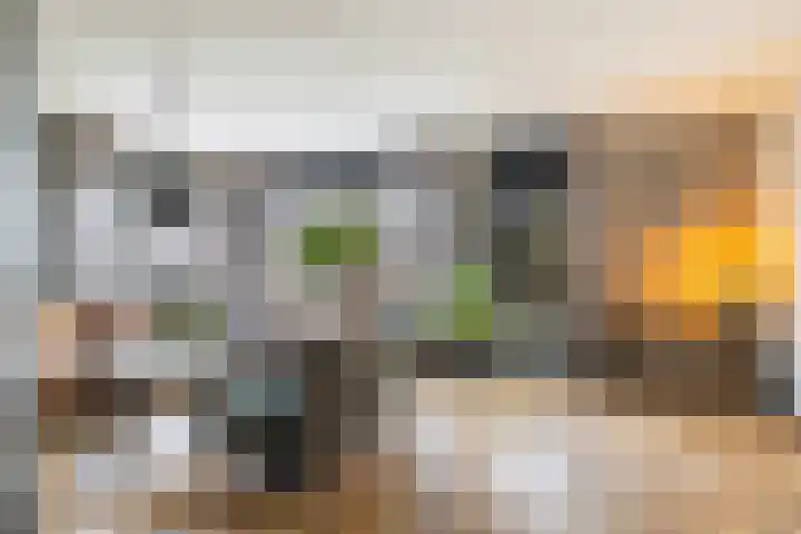 Wipmolenstraat 2 Kootwijkerbroek thumbnail 4
