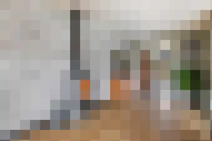 Wipmolenstraat 2 Kootwijkerbroek thumbnail 7