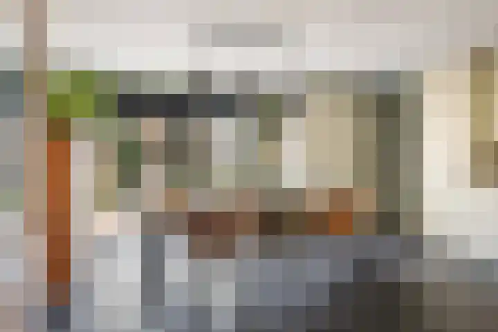 Wipmolenstraat 2 Kootwijkerbroek thumbnail 8