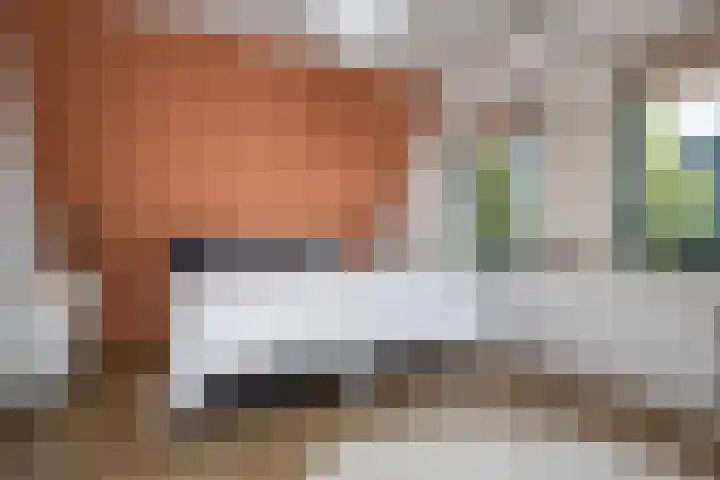 Wipmolenstraat 9 Abbekerk thumbnail 15