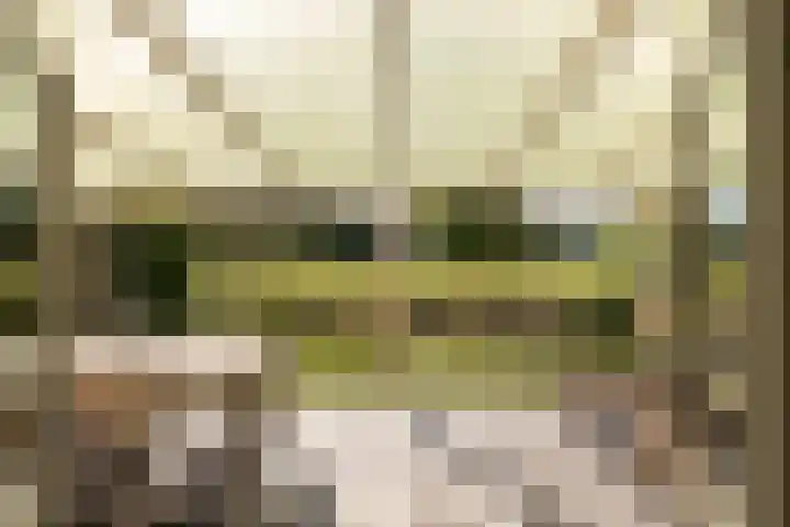 Wipmolenstraat 9 Abbekerk thumbnail 29