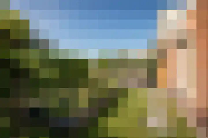 Wipmolenstraat 9 Abbekerk thumbnail 30