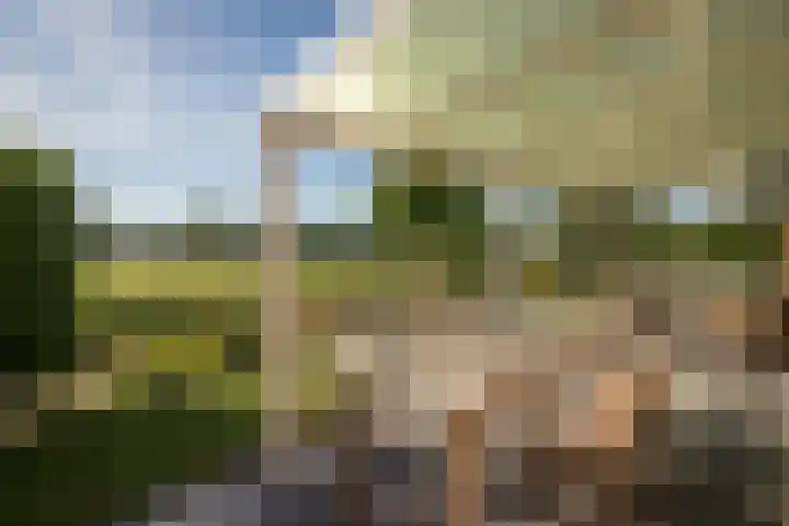 Wipmolenstraat 9 Abbekerk thumbnail 31