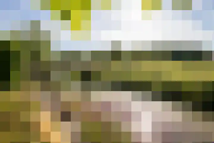 Wipmolenstraat 9 Abbekerk thumbnail 33