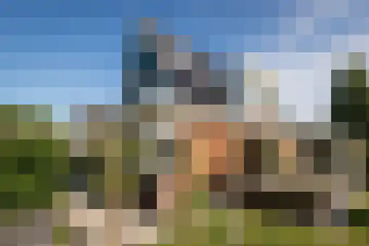 Wipmolenstraat 9 Abbekerk thumbnail 38