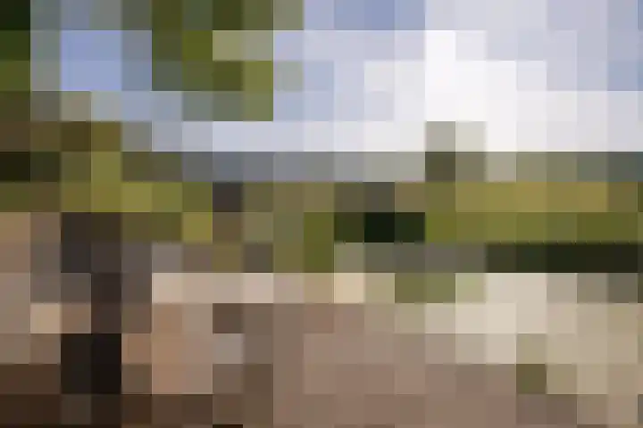 Wipmolenstraat 9 Abbekerk thumbnail 4