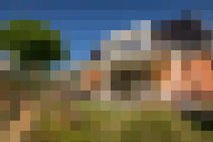 Wipmolenstraat 9 Abbekerk thumbnail 41