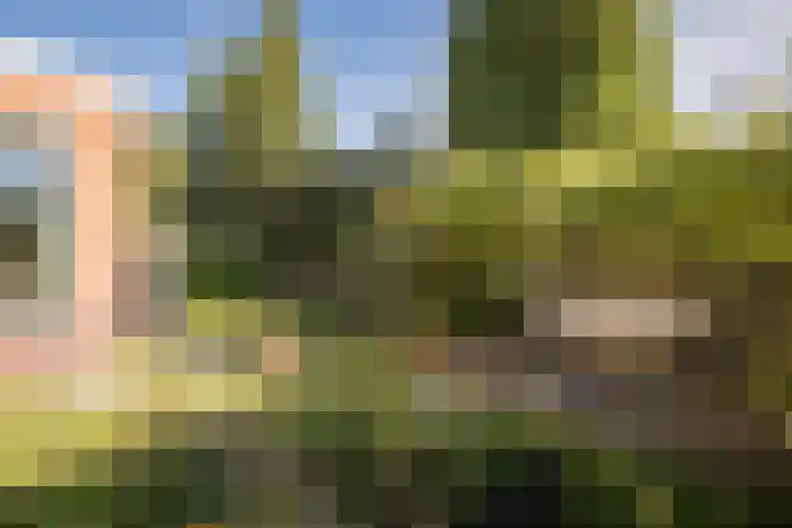 Wipmolenstraat 9 Abbekerk thumbnail 42