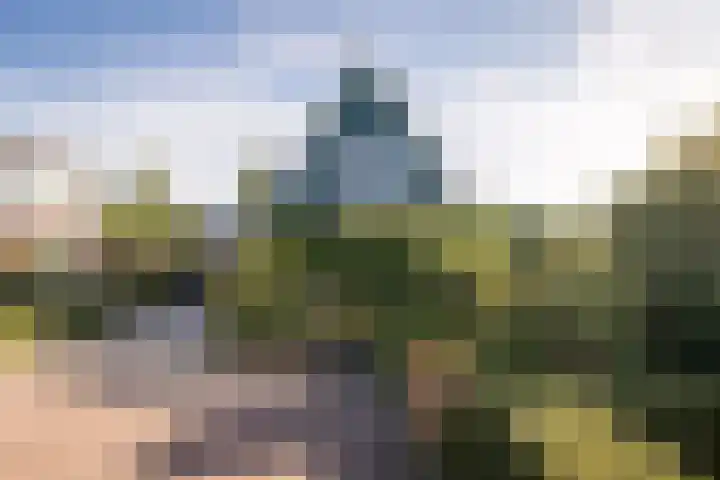Wipmolenstraat 9 Abbekerk thumbnail 5