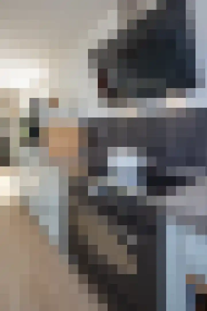 Wipmolenstraat 9 Abbekerk thumbnail 55