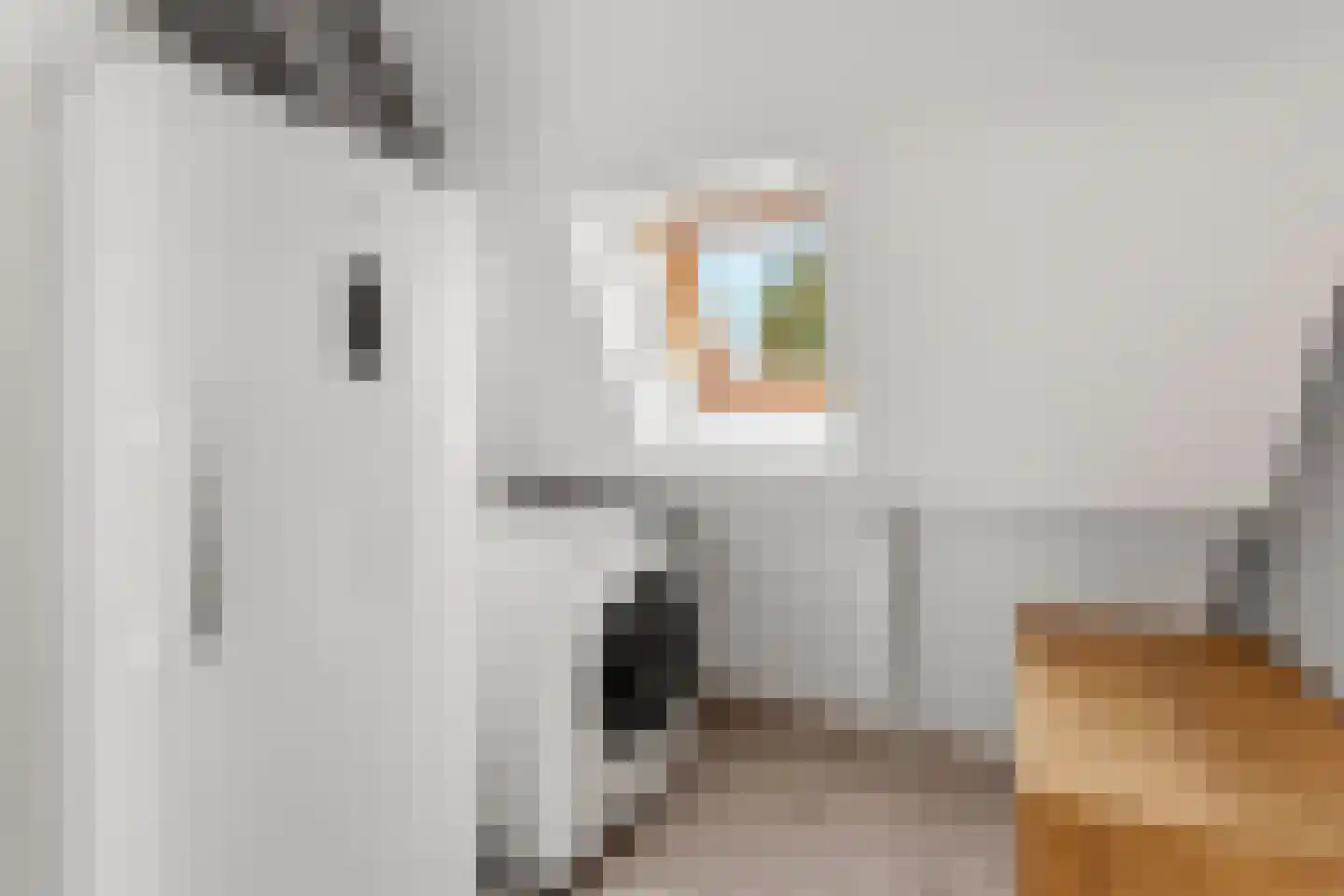 Wipmolenweg 110 Almere thumbnail 35