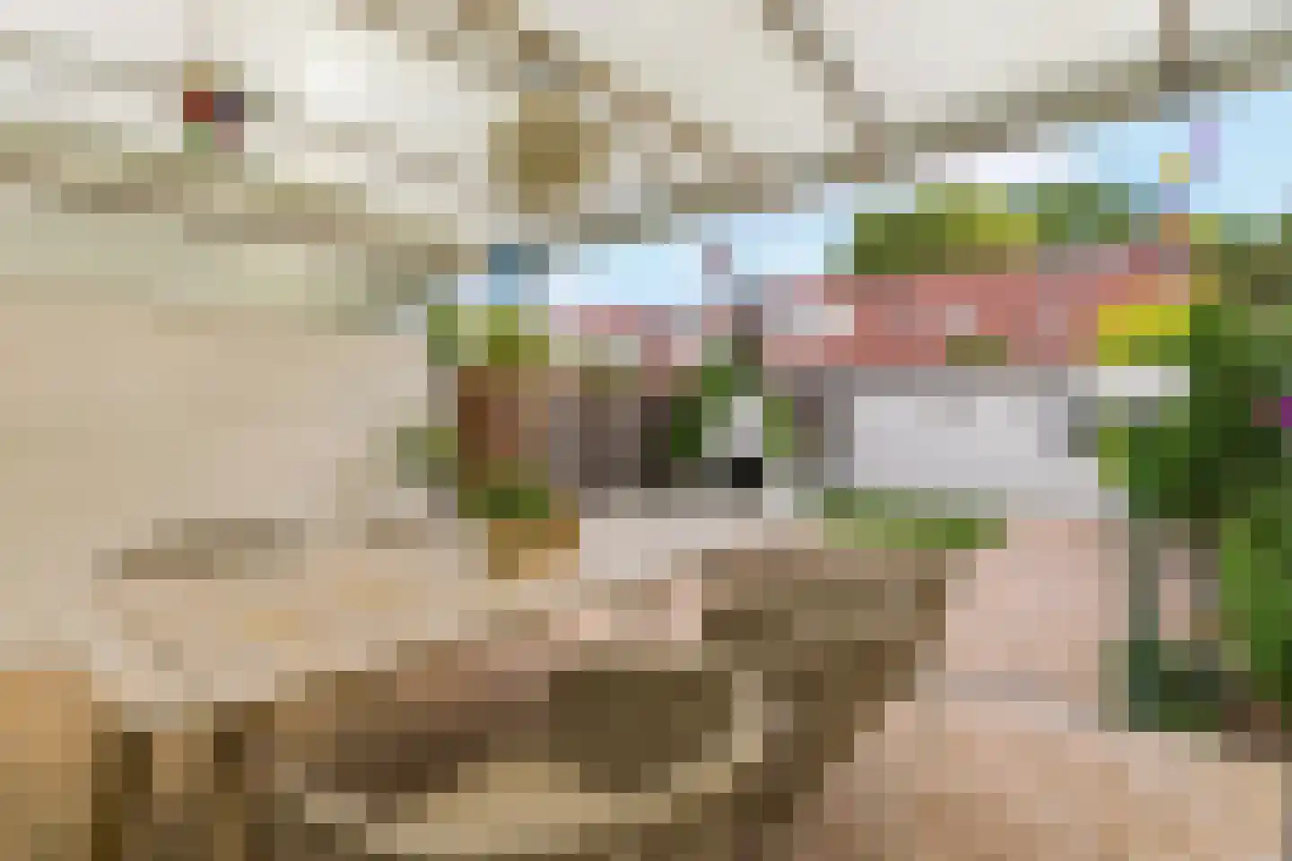Wipmolenweg 110 Almere thumbnail 39