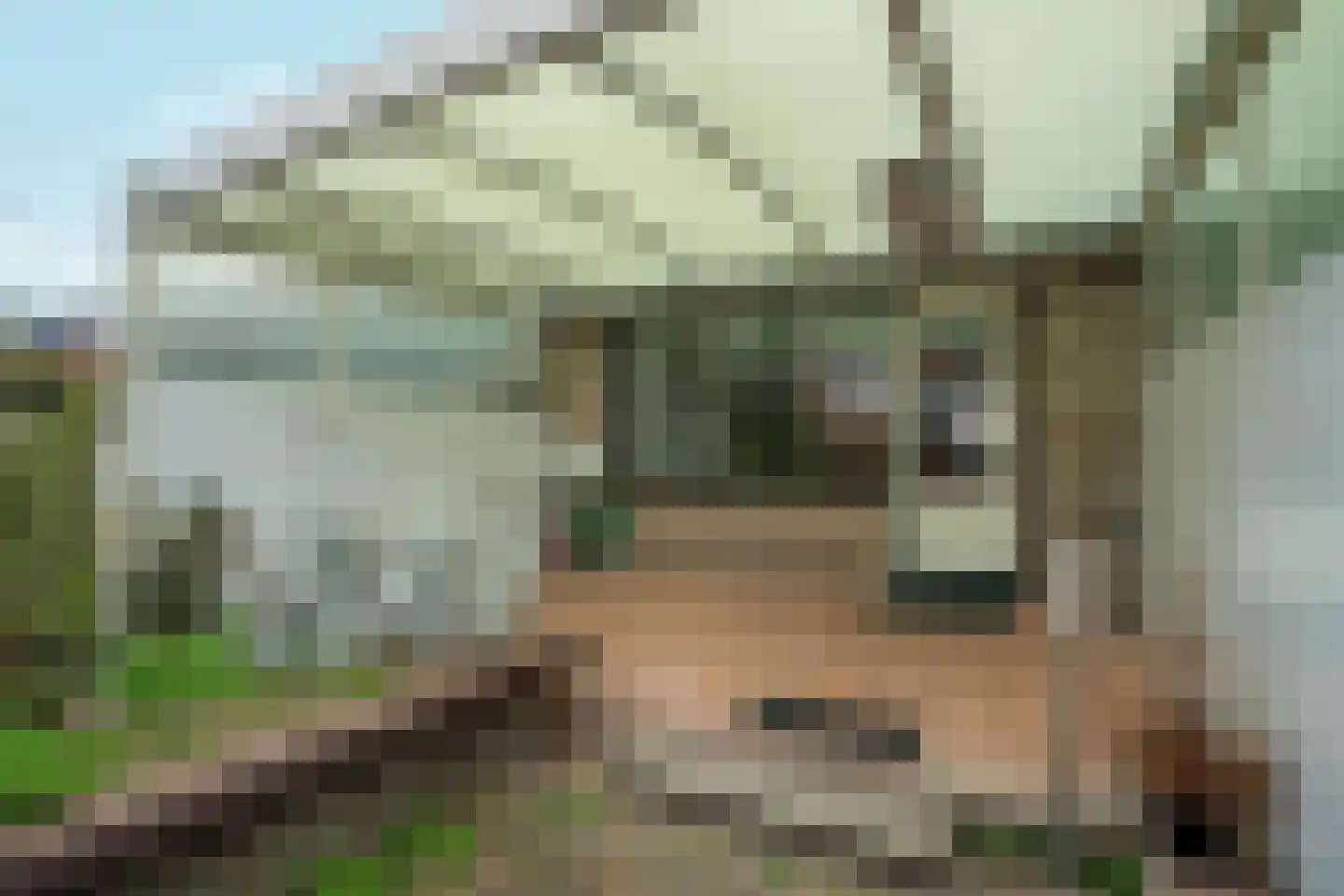 Wipmolenweg 118 Almere thumbnail 28