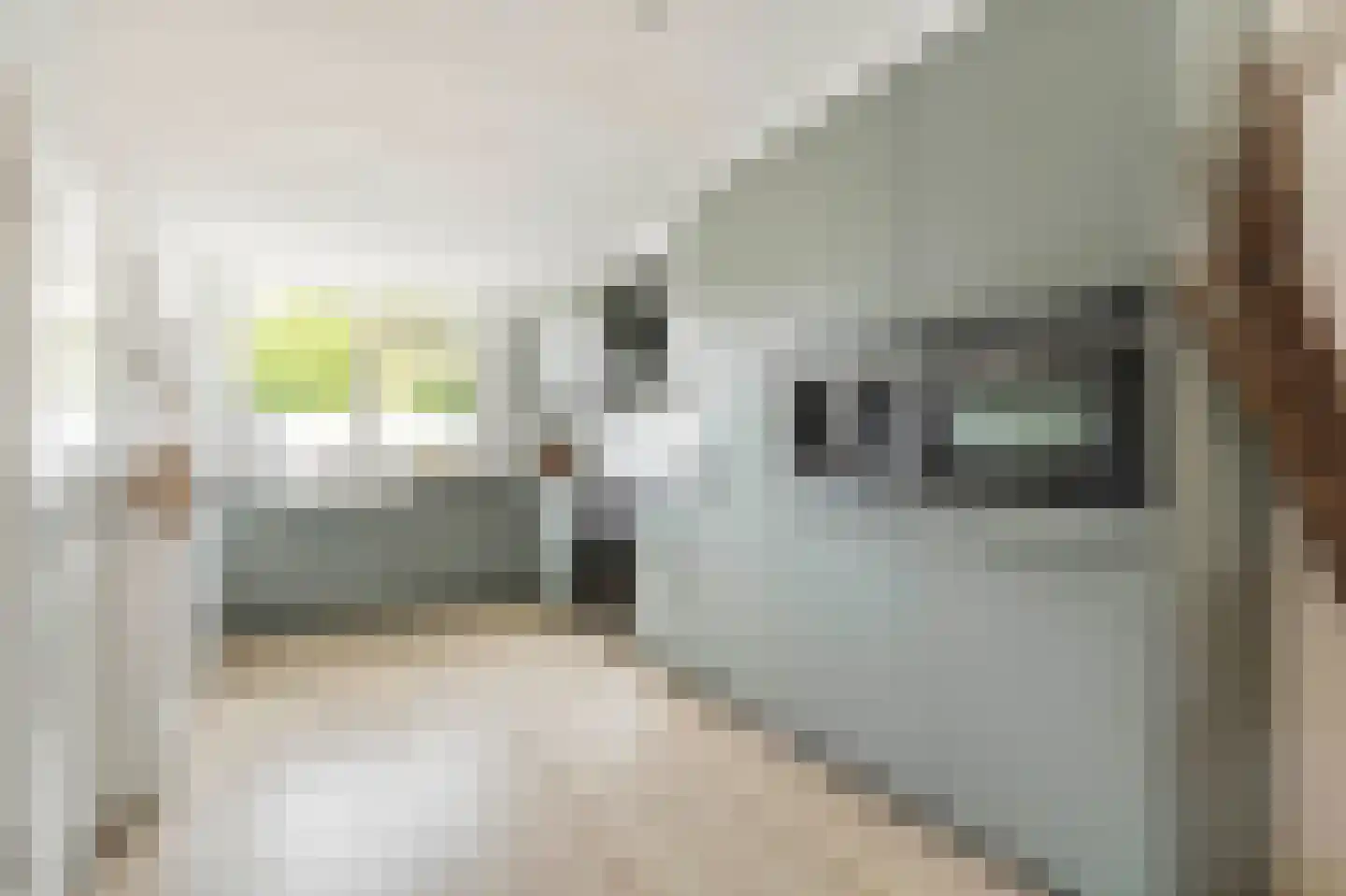 Wipmolenweg 361 Almere thumbnail 15