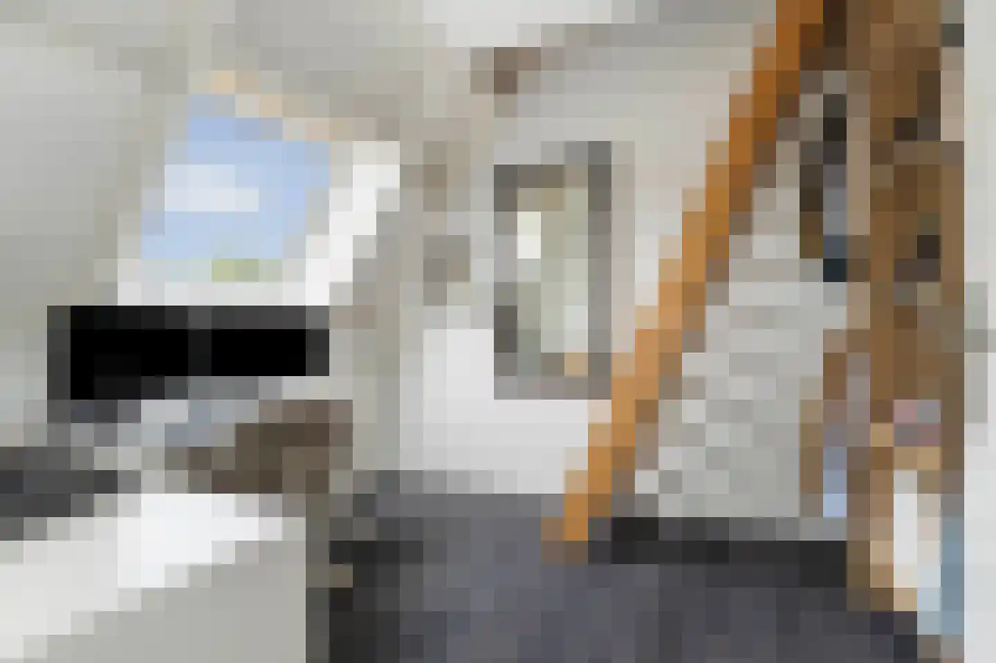 Wipmolenweg 361 Almere thumbnail 24