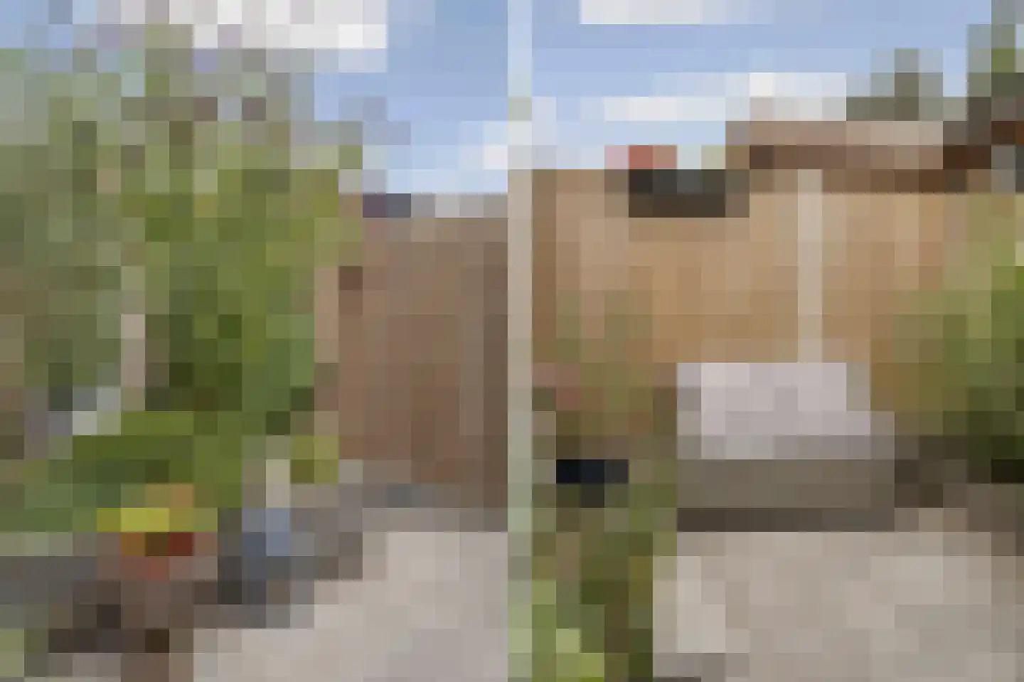 Wipmolenweg 361 Almere thumbnail 27