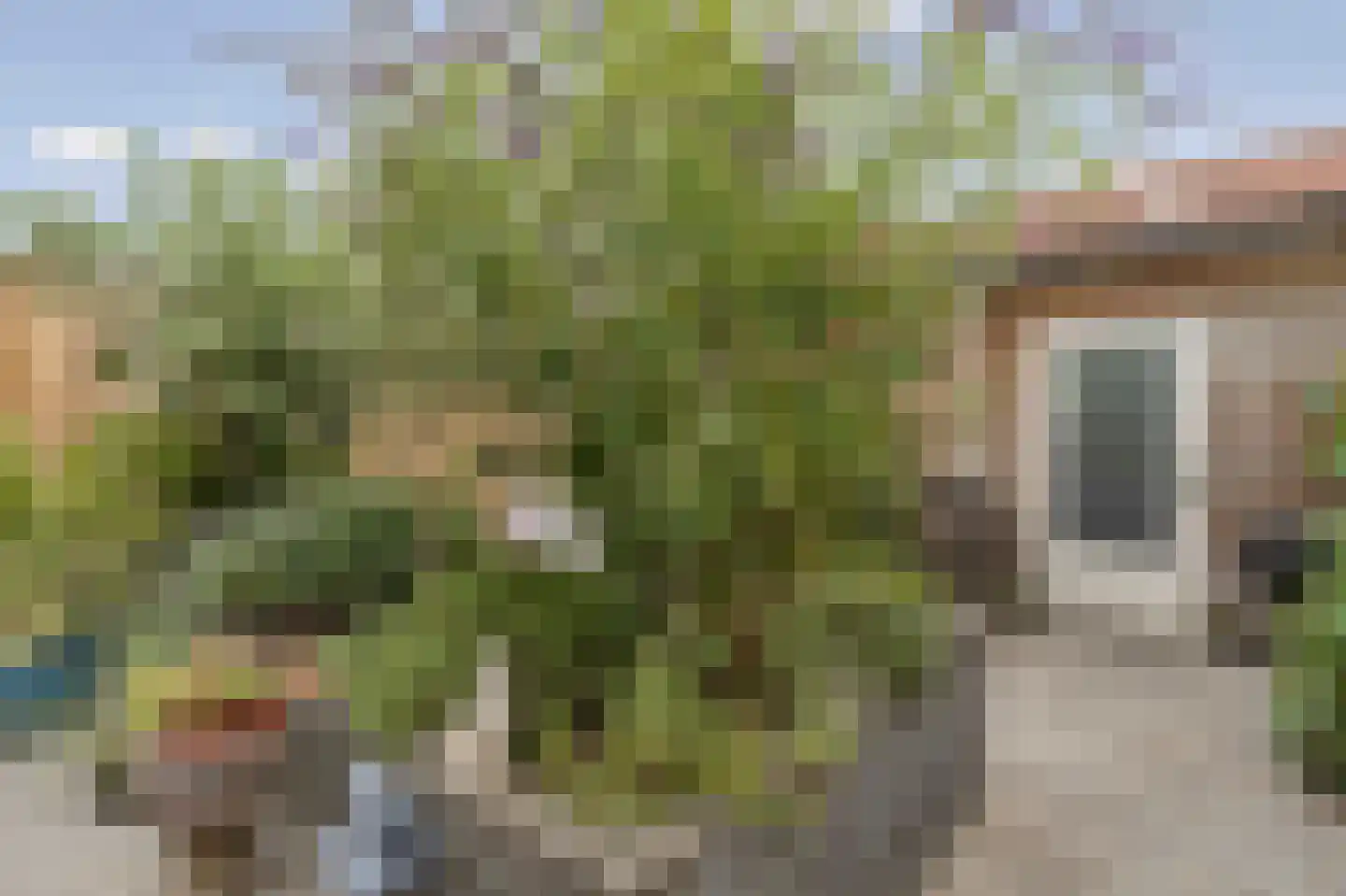 Wipmolenweg 361 Almere thumbnail 35
