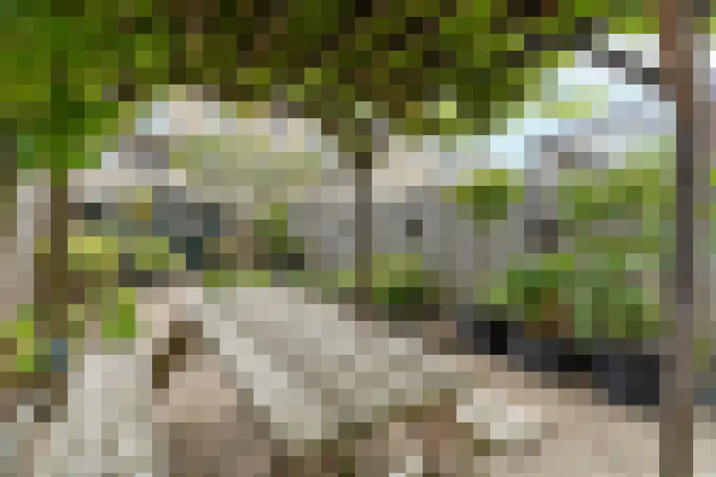 Wipmolenweg 42 Almere thumbnail 46