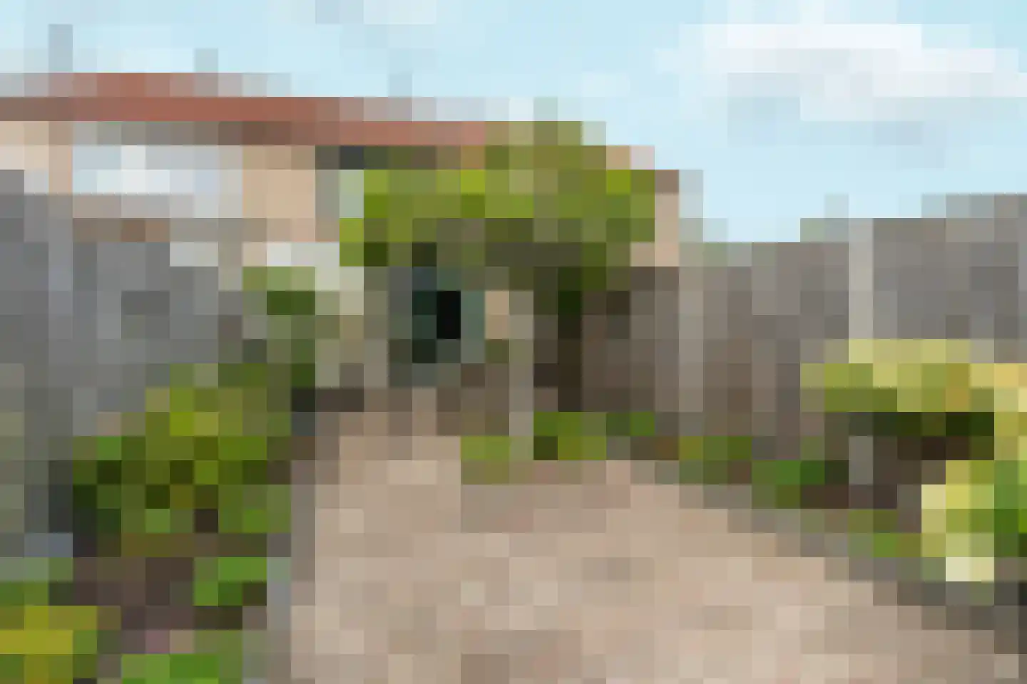 Wipmolenweg 42 Almere thumbnail 49