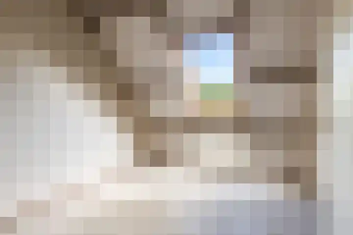Wipmolenweg 43 Almere thumbnail 31