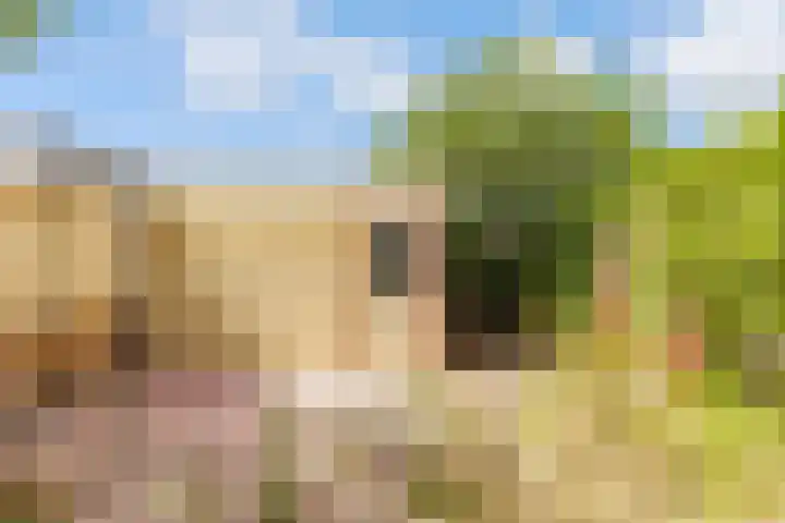 Wipmolenweg 43 Almere thumbnail 35